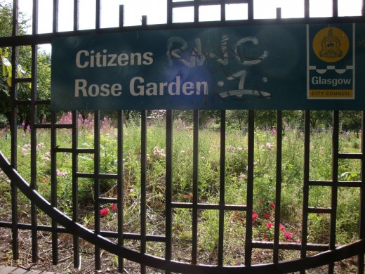 Citizens Rose Garden